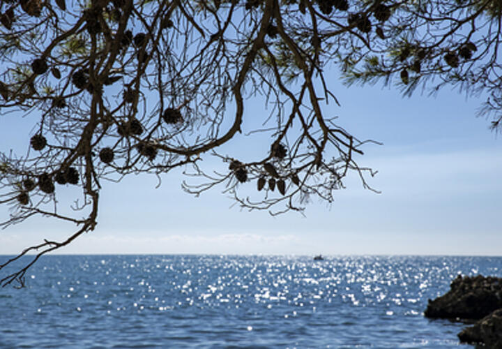 Два затонувших у берегов Краснодарского края сухогруза собираются поднять со дна моря