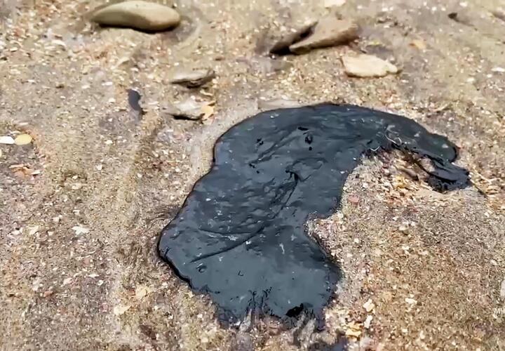 Экологическое бедствие в Керченском проливе может к лету охватить другие регионы