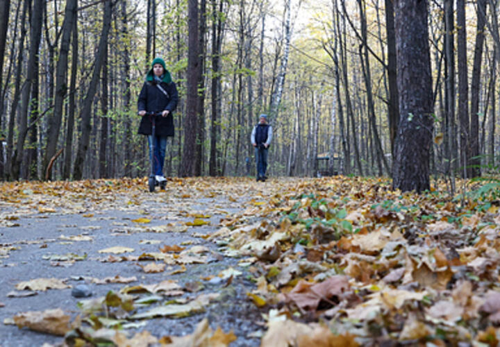 Какой будет погода на Кубани 29 декабря, рассказали синоптики