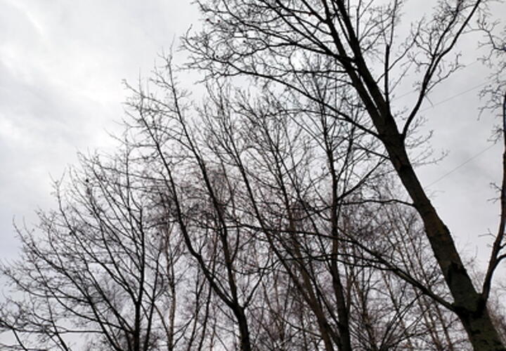 Какой будет погода на Кубани в понедельник, 2 декабря, рассказали синоптики