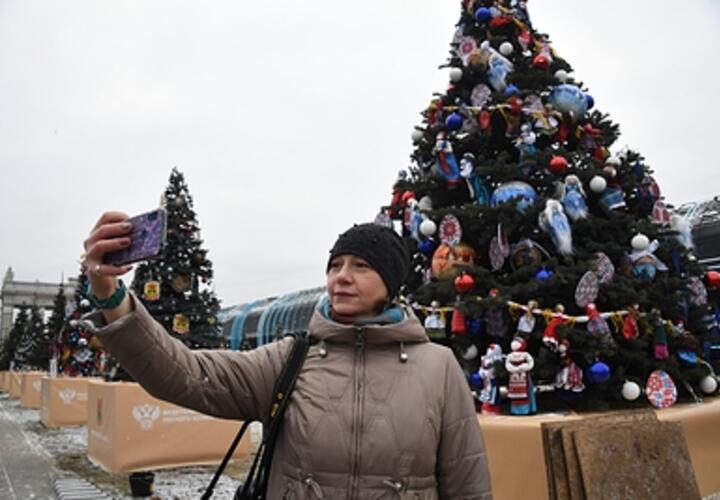 Краснодарцам рассказали, где откроют первые новогодние елки