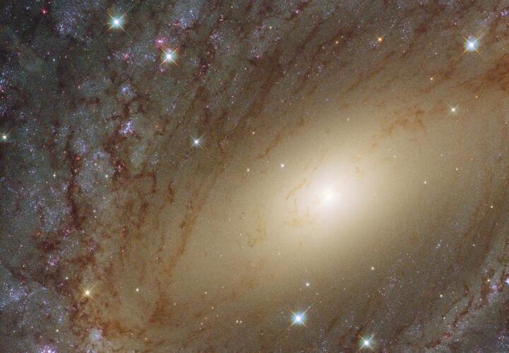 Львы извлекут пользу из нового знакомства, у Козерогов деловые отношения перерастут в личные