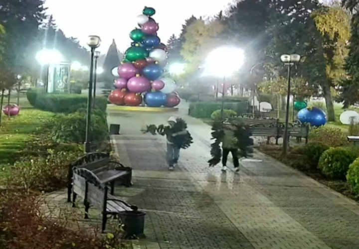 Мэр Наумов: на Александровском бульваре в Краснодаре пойманы первые воришки 
