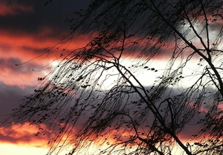 Мощный ветер и туман: какой будет погода 26 декабря на Кубани, рассказали синоптики