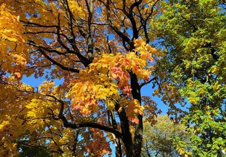 На Кубани потеплеет: синоптики рассказали, какая погода ждёт нас в субботу, 7 декабря