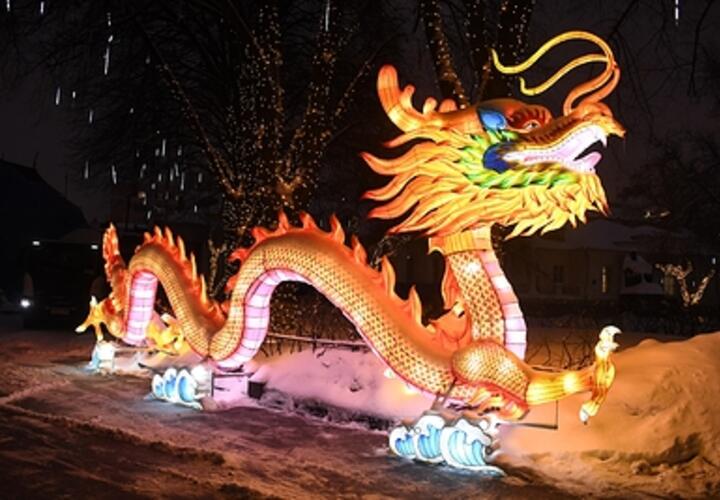 Подружится ли Змея с Драконом, рассказали астрологи