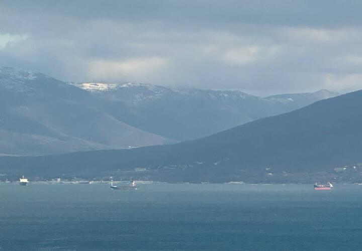 «Порт Виктория» не оставляет попытки вернуть себе в собственность Волочаевский пляж в Новороссийске