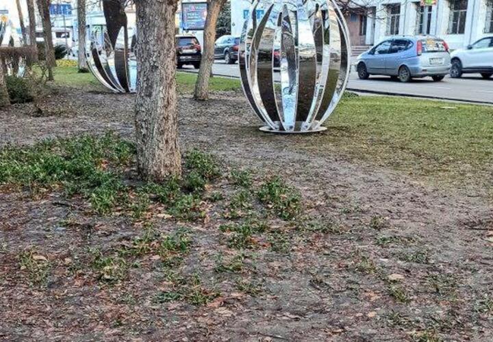 Появились фото вытоптанной улицы Красной в Краснодаре, которую украсил меценат Галицкий