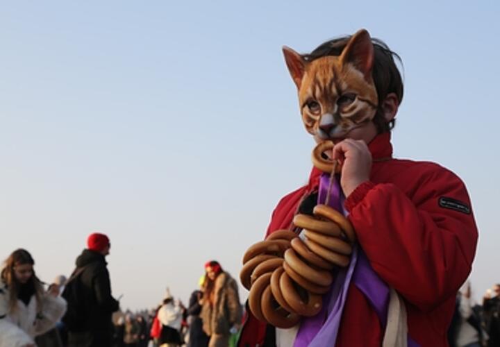 Проблемы в семье могут превратить ребенка в квадробера, считают в прокуратуре Краснодарского края