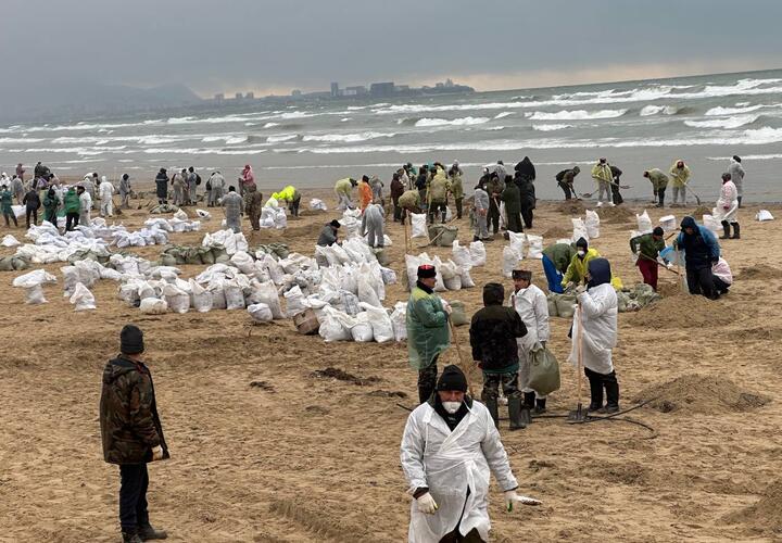 Роспотребнадзор признал, что качество морской воды у берегов Краснодарского края не соответствует нормам