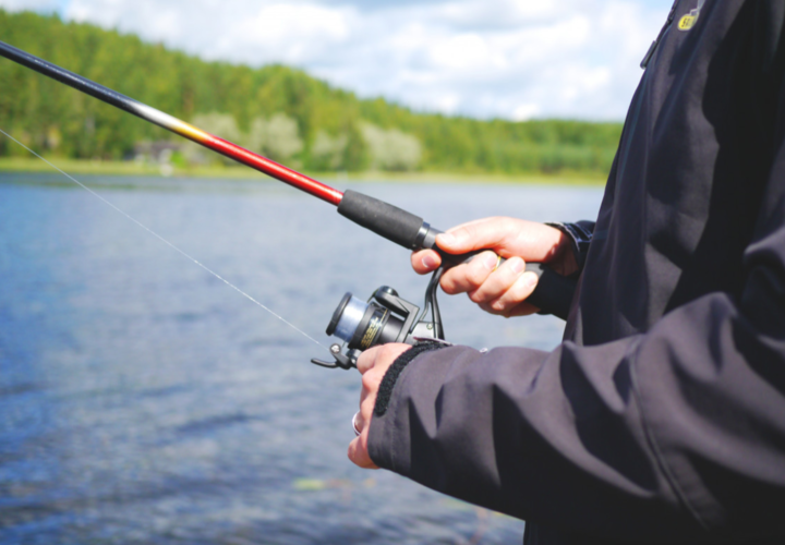 В Азовских лиманах ввели запрет на ловлю рыбы до 1 мая