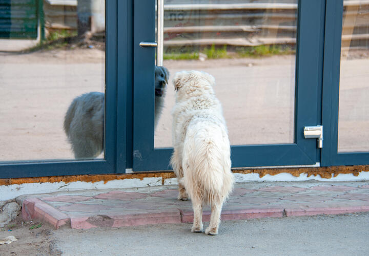 Стоит ли беспокоиться, если вы забыли, зачем пришли в комнату, объясняют врачи