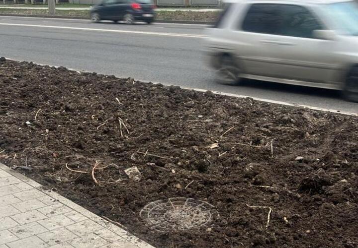 Страшно: в Новороссийске ребёнок провалился в люк