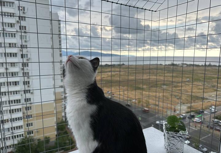 Стукнут морозы: какая погода будет на Кубани с 9 по 15 декабря 