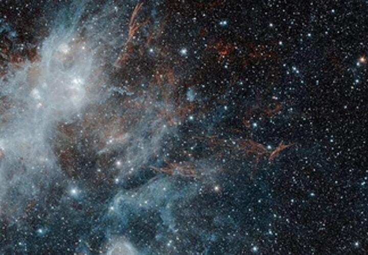 Тельцов ждут неожиданные встречи, а Ракам следует быть внимательными к эмоциям