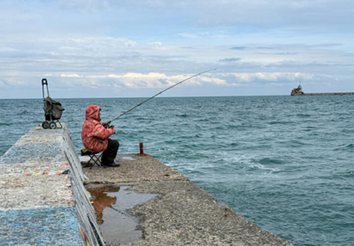 Тепло пока Кубань не покинет: синоптики рассказали, какая погода ждёт нас во вторник,24 декабря