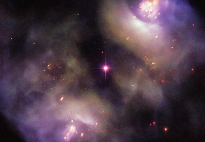 Весы смогут победить старых врагов, Стрельцов ожидает профессиональный успех