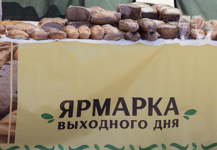 Власти Краснодара рассказали, когда откроются предновогодние ярмарки выходного дня