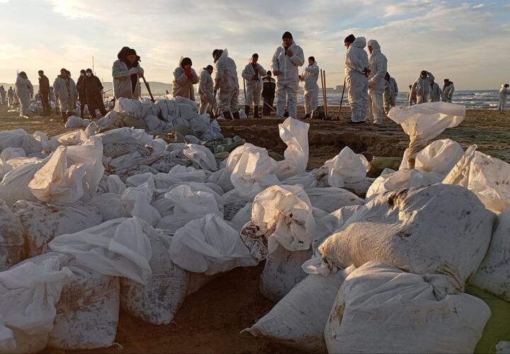 Власти Кубани рассказали, сколько времени понадобиться, чтобы убрать мазут с побережья Чёрного моря