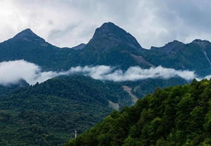 Воровской круг: по делу о хищении земель Сочинского нацпарка задержаны новые фигуранты