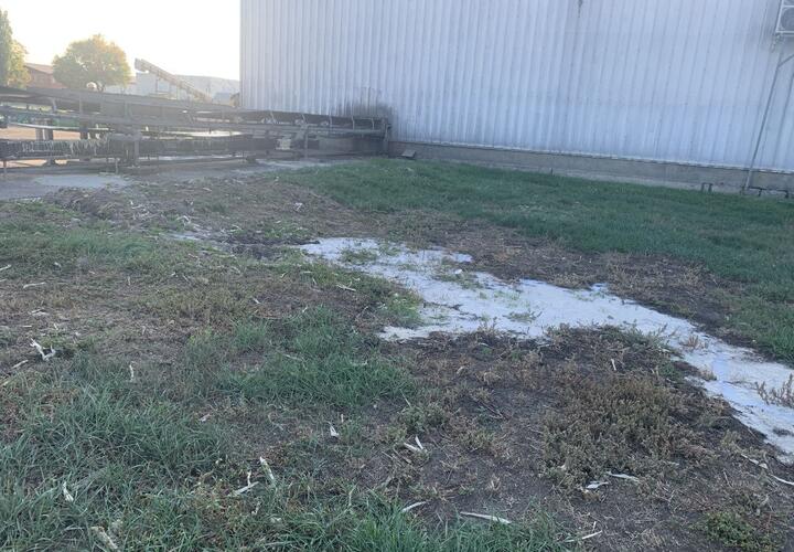 Завод «Бондюэль-Кубань» нанёс ущерб природе почти на 2 млн рублей