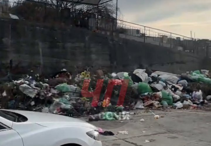 Жуткая вонь идет со стороны кладбища, жалуются жители Сочи