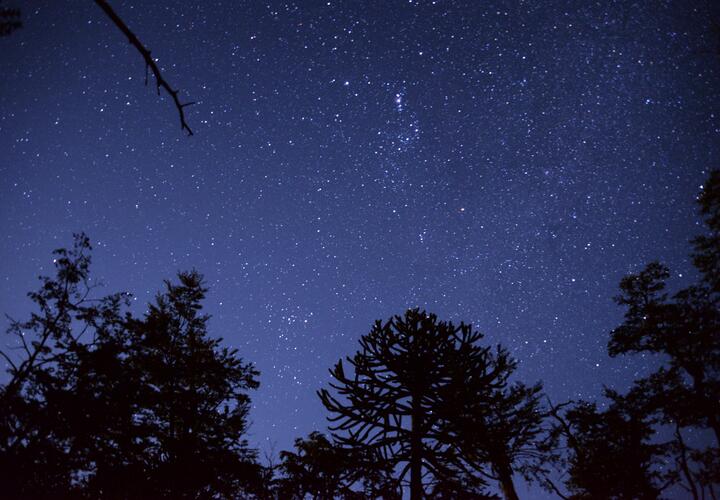 Девам звезды советуют сосредоточиться на деле, а Близнецам – не принимать все близко к сердцу