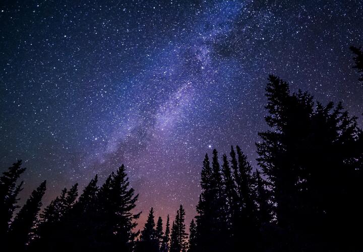 Девы будут отстаивать свои интересы, а Весам следует сосредоточиться на победе