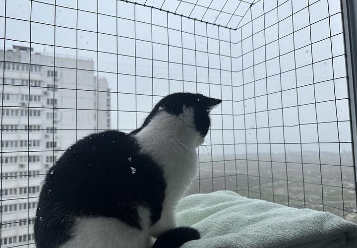 Дождь и мокрый снег: какая погода будет на Кубани 18 января  