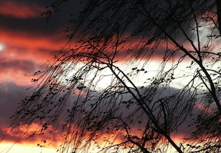 Из-за сильного ветра в Крымском районе Кубани могут возникнуть ЧС 