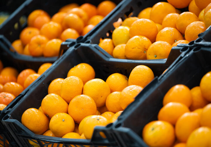 Как правильно выбирать апельсины, рассказали в Роспотребнадзоре Кубани