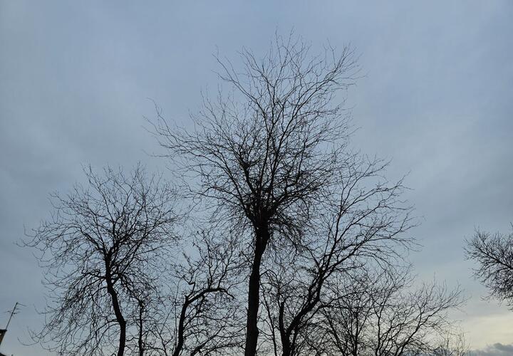 Какой будет погода 21 января на Кубани, рассказали синоптики