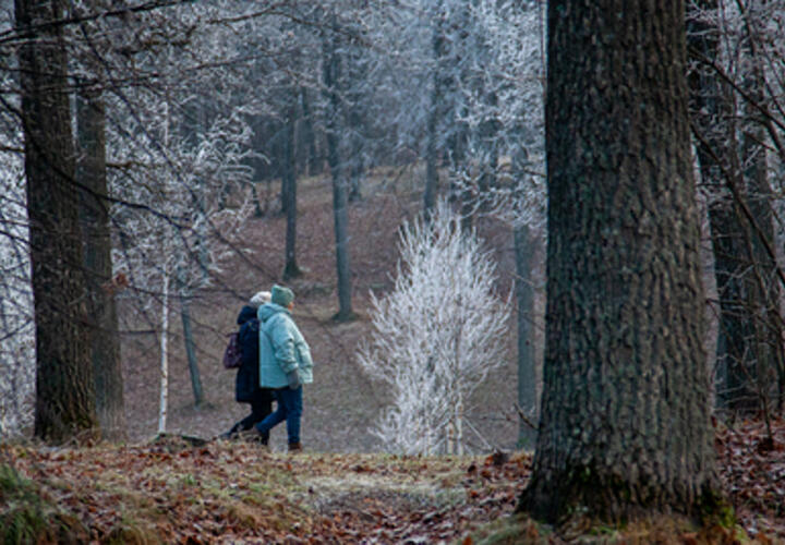 Какой погода будет в пятницу, 17 января, на Кубани, рассказали синоптики