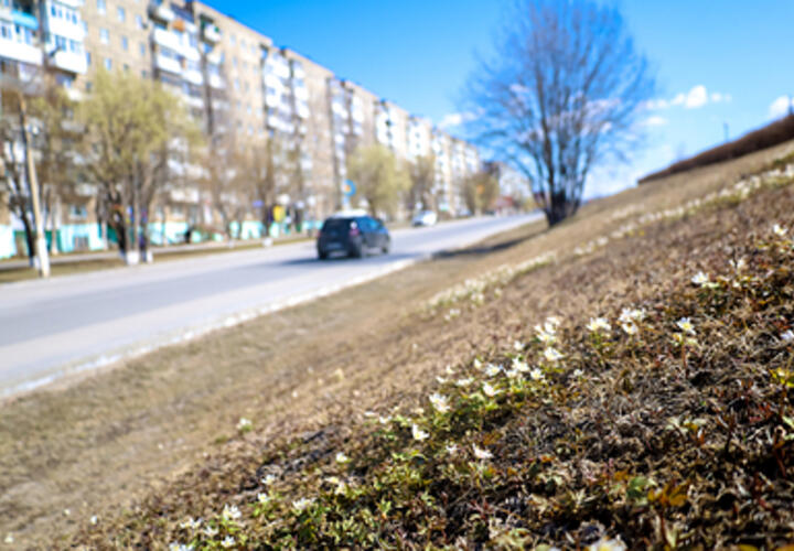 Когда в Краснодарском крае ожидается потепление, рассказали синоптики