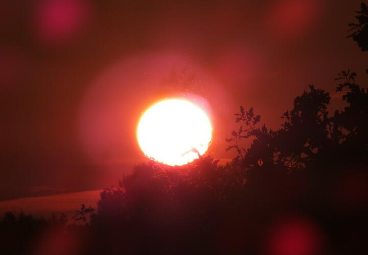 Корональная дыра образовалась на солнце: чем это грозит, рассказал эксперт