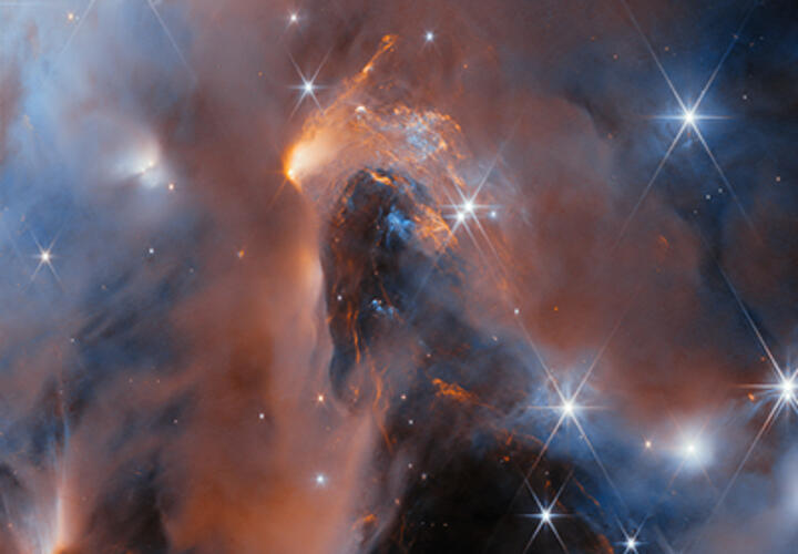 Львам нужно полноценно отдохнуть, а Весам – проявить настойчивость