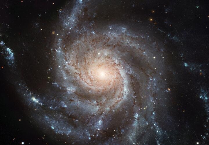 Львы могут получить неожиданное предложение, а Скорпионам не стоит рассчитывать на достигнутые сегодня договоренности