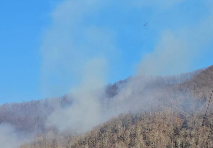 МЧС тушит большой лесной пожар в Сочи