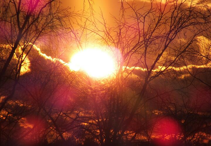 На Солнце появилась огромная дыра в форме динозавра