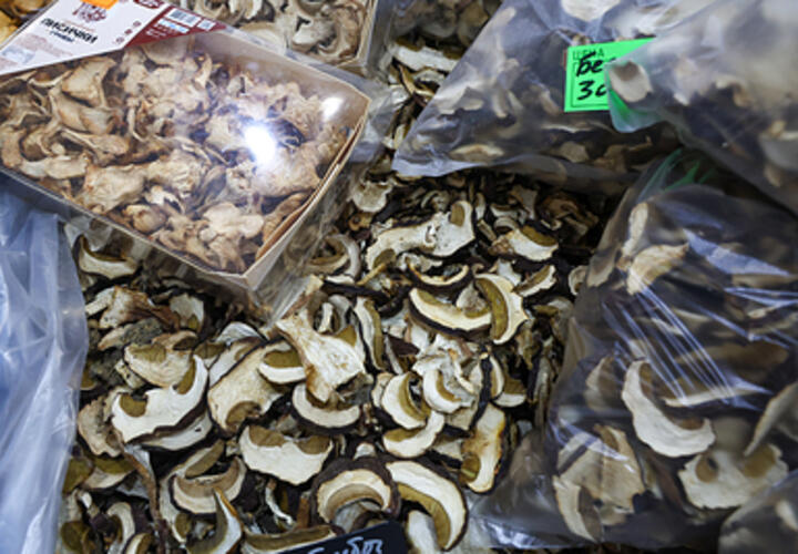 Об опасности употребления грибов с маркетплейсов предупредила врач-биохимик