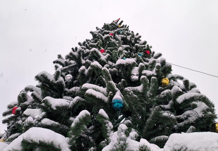 14 января есть, что отметить, чему порадоваться и просто повеселиться