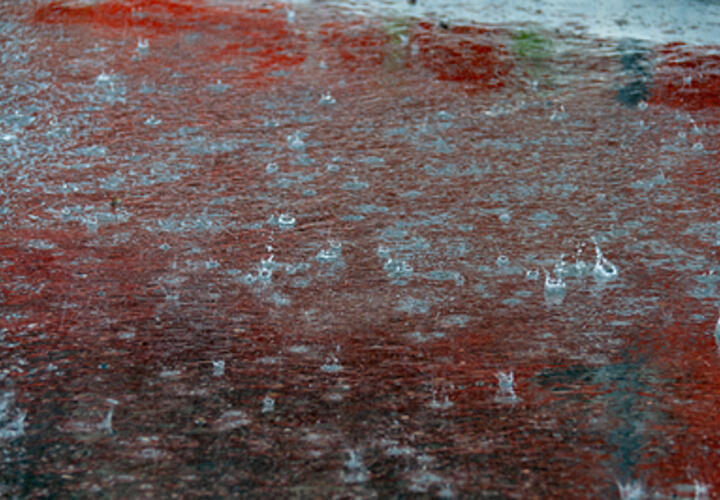 Одна из самых опасных дорог России находится в Краснодарском крае