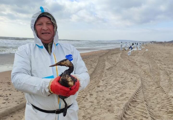 Орнитолог опроверг распространяемую в Сети информацию о гибели птиц