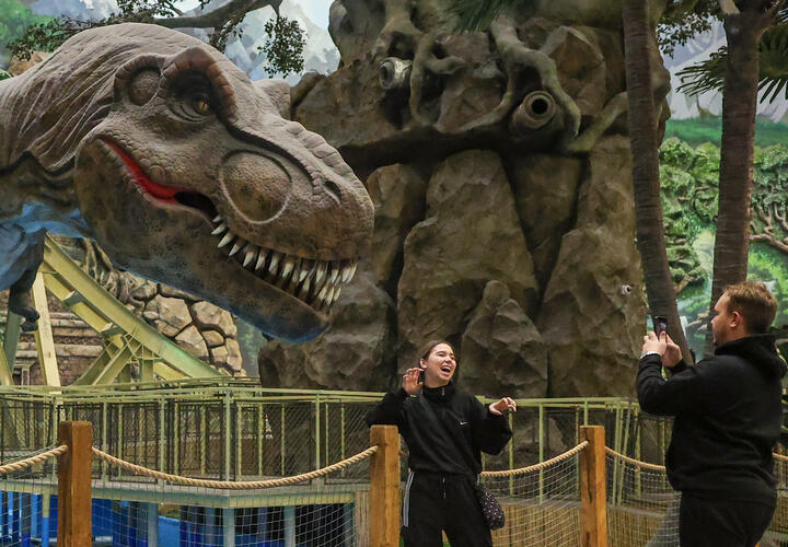 Парк динозавров сгорел в Геленджике