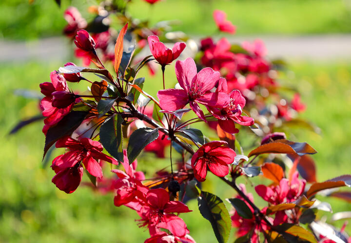 Такой тёплой зимы не было 30 лет