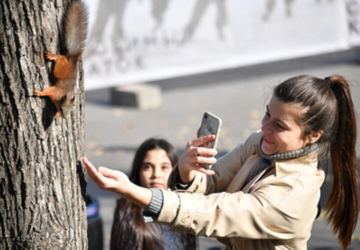 Погода на неделю с 27 января по 2 февраля на Кубани