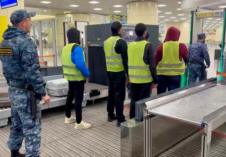 Пора домой: число депортированных мигрантов с Кубани выросло вдвое за год