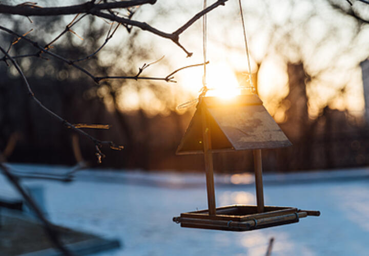Премьер Франции считает Маска угрозой демократии, житель Иркутской области поджег дом с бывшей женой и детьми: что произошло, пока вы спали
