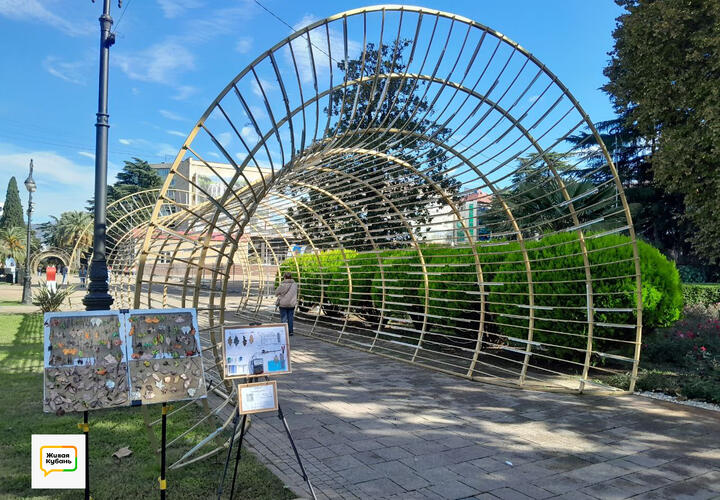 Прощайте, клетки: раздражавшие жителей Сочи светодиодные арки убирают из центра города