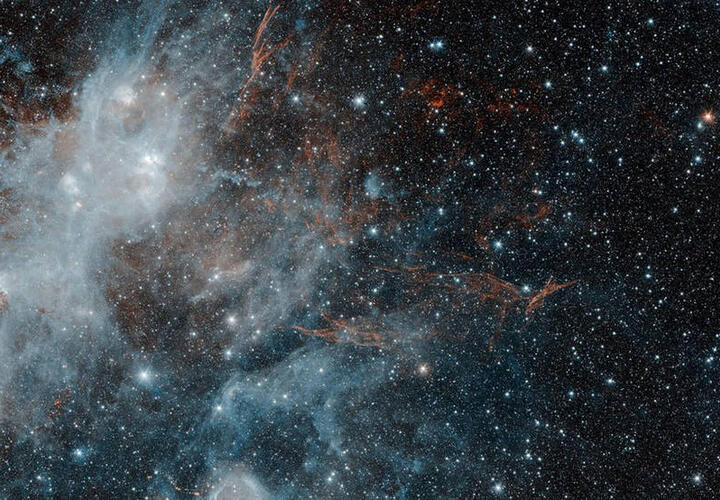 Ракам нужно совладать с эмоциями, Львов ждут романтические знакомства